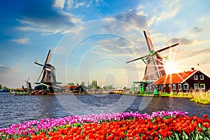 Typical iconic landscape with beautiful sunset in the Netherlands, Europe. Traditional old dutch windmills with house near river