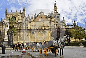 Typical image with horse carriages and the Cathedral of Seville