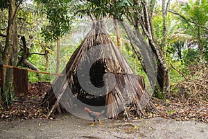typical indigenous house in the south of Bahia Brazil