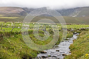 Typical Irirsh farm with sheeps and mountains