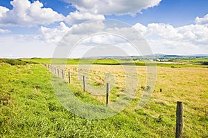 Typical Irish flat landscape with fields of grass and wooden fen
