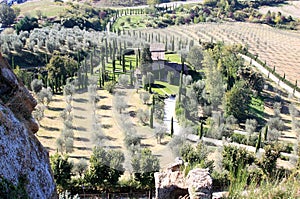 Typical Italian cypresses landscape, Umbria photo
