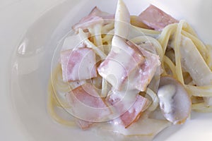 Typical Italian gourmet spaghetti cream sauce with ham and bacon