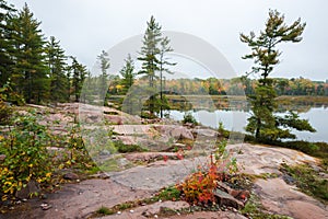 Typical Killarney landscape with multicoloured trees and pink rocks