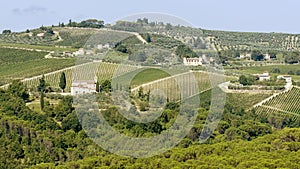 Typical landscape of Chianti classico in the municipality of Greve, Tuscany, Italy