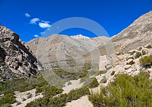 Typical landscape of the Cochiguaz Vallley photo