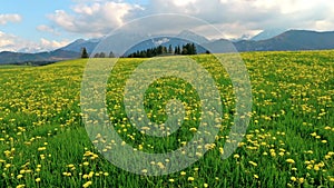 The typical landscape of German Allgau with its green meadows and beautiful mountains