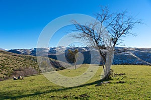 Typical landscape of Gran Sasso National Park, Abruzzo, Italy