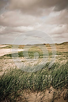 Typical landscape in Jutland, Denmark