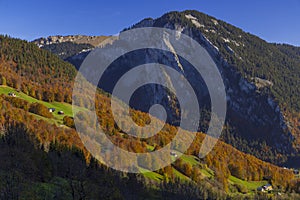 Typical landscape near DamÃ¼ls, Bregenzer Wald, Bregenz district, Vorarlberg, Austria