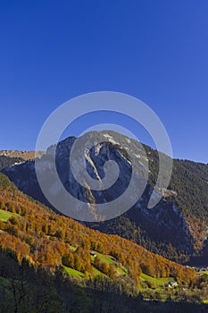 Typical landscape near DamÃ¼ls, Bregenzer Wald, Bregenz district, Vorarlberg, Austria