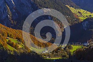 Typical landscape near DamÃ¼ls, Bregenzer Wald, Bregenz district, Vorarlberg, Austria