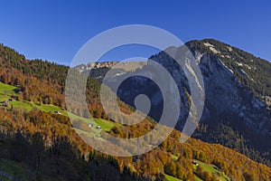 Typical landscape near DamÃ¼ls, Bregenzer Wald, Bregenz district, Vorarlberg, Austria