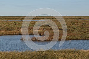 Typical landscape near Freeport, Texas