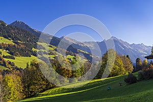 Typical landscape near Sankt Gerold and Bludenz, Bregenzer Wald, Bregenz district, Vorarlberg, Austria