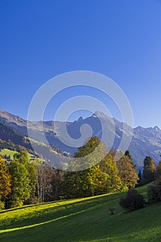 Typical landscape near Sankt Gerold and Bludenz, Bregenzer Wald, Bregenz district, Vorarlberg, Austria