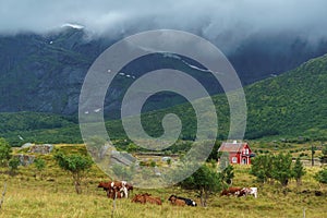 Typical landscape of northern Norway