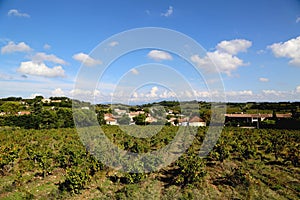 Typical landscape in Provence , France with vineyard and small village