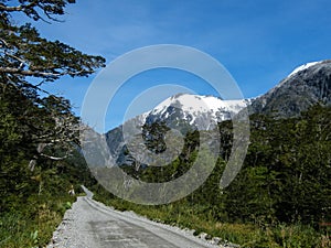 Typical landscape of the Queulat Pass photo