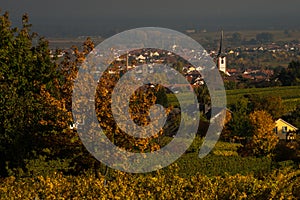 Typical landscape Rhenish Pfalz