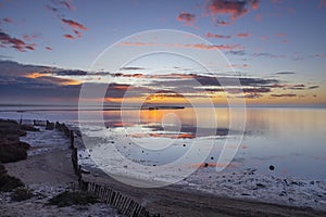 Typical landscape during sunrise in Parc Naturel regional de Camargue, Provence, France