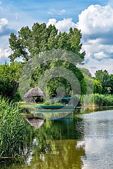 Typical landscape at swamp area of Imperial Pond Carska bara, large natural habitat for birds and other animals from Serbia. Fis