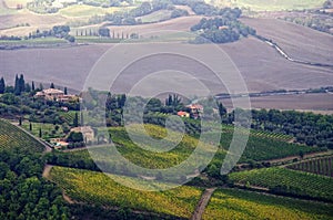 Typical landscape in the Tuscany.