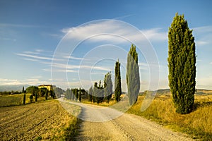 Typical landscape of Tuscany