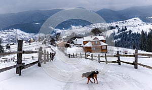 Typical landscape of the Ukrainian Carpathians with private estates in winter