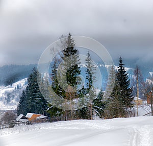 Typical landscape of the Ukrainian Carpathians with private estates in winter