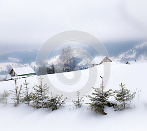 Typical landscape of the Ukrainian Carpathians with private estates in winter