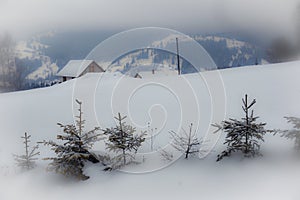 Typical landscape of the Ukrainian Carpathians with private estates in winter