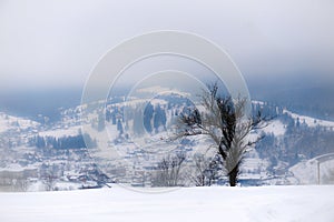 Typical landscape of the Ukrainian Carpathians with private estates in winter