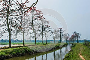 Typical landscape of Vietnam village