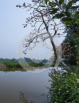 Typical landscape of Vietnam village