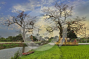 Typical landscape of Vietnam village