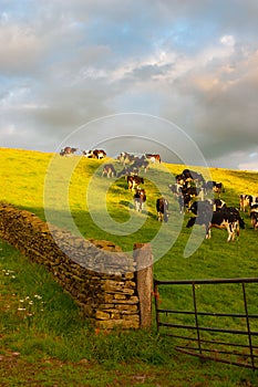 The typical landscape in Yorkshire Dales National Park, Great Britain