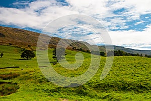 The typical landscape in Yorkshire Dales National Park, Great Britain