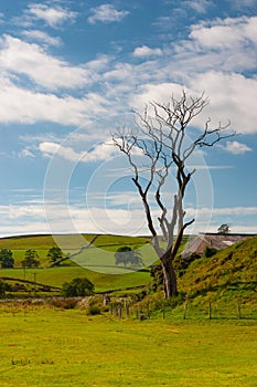 The typical landscape in Yorkshire Dales National Park, Great Britain