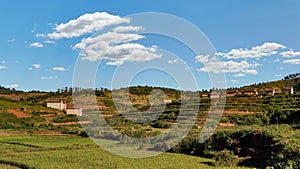 Typical Madagascar landscape - green and yellow rice terrace fields on small hills with clay houses in region near Alakamisy