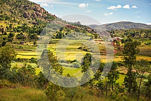 Typical Madagascar landscape in region near Tsiafahy, small hills covered with green grass and bushes, red clay houses and rice