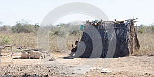 Typical malgasy hut