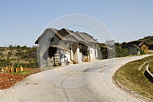 Typical malgasy village - african hut