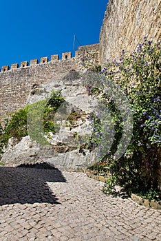 Typical medieval town of Obidos in Portugal