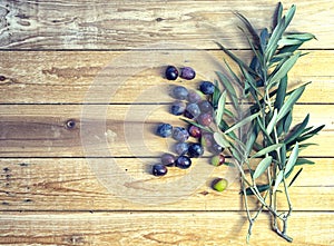 typical Mediterranean plants