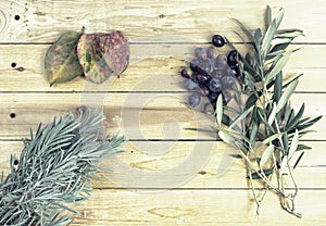 typical Mediterranean plants