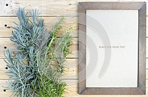 typical Mediterranean plants