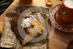 Typical mexican food Oaxacan mole tamale photo