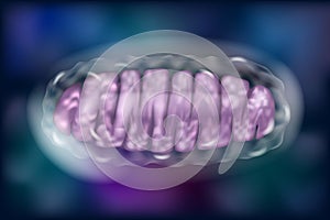 Typical Mitochondria photo