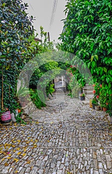 Typical narrow street in the village of Lania, Cyprus